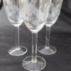 Clear Glass Set Cordial with flowers and foliage