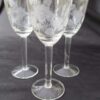 Clear Glass Set Cordial with flowers and foliage