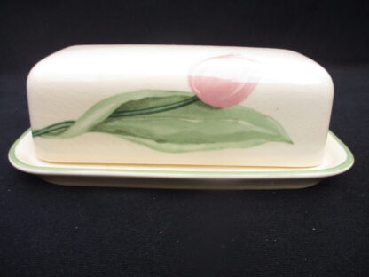 dinner plates by Noritake Japan Sorrento