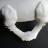 A close up of the back end of a white object.